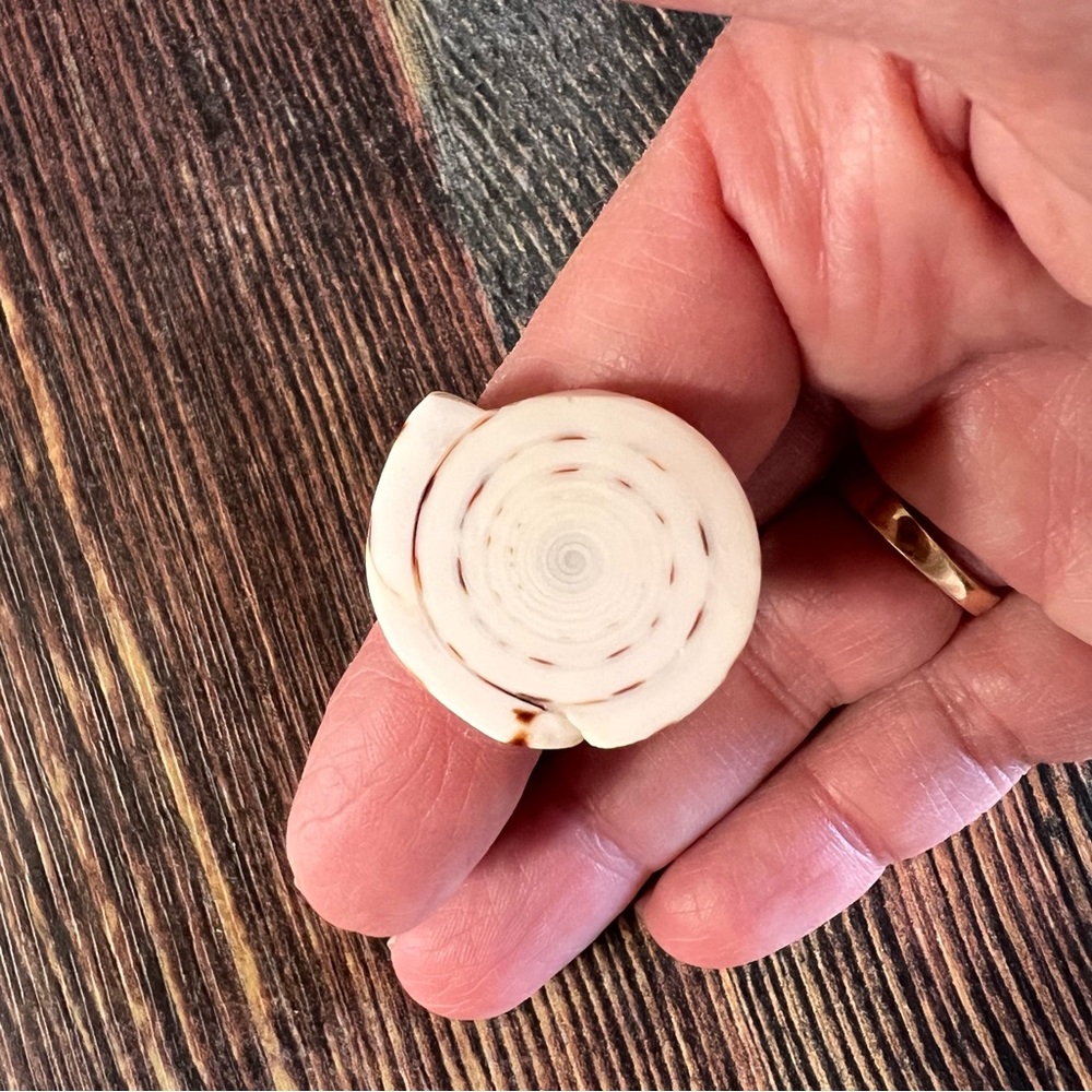 Genuine Shell Ring